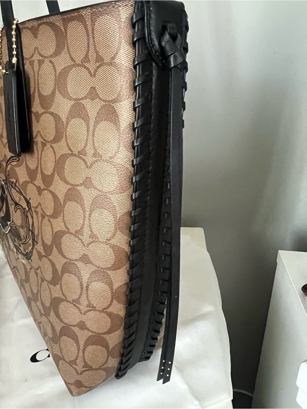 Coach Chelsea Champlain
Animation Tattoo Roses
Signature Large Tote - Picture 6 of 13